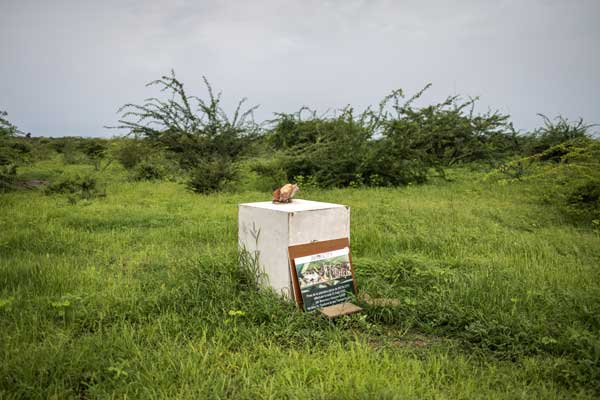 Foundation stone for crypto powered Akon City