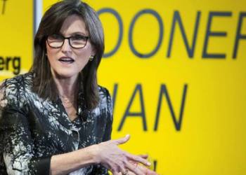 Picture of Ark Invest CEO Cathie Wood