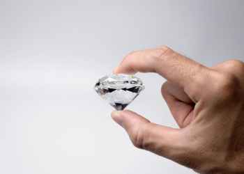 Diamond Hands: Remaining Bitcoin Whales Keep On Buying The Dips