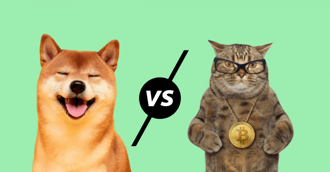 Picture of a Dogecoin Shiba Inu next to a cat with a Bitcoin chain round its neck, depicting a competition between both