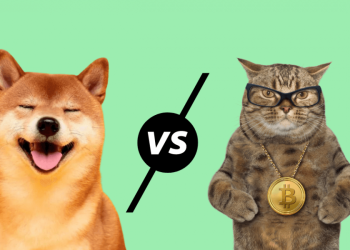 Picture of a Dogecoin Shiba Inu next to a cat with a Bitcoin chain round its neck, depicting a competition between both