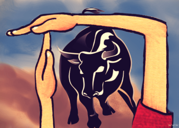 Picture of a hand making a square in front of a black bull