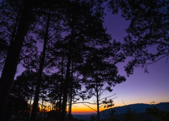 Litecoin darkest before dawn