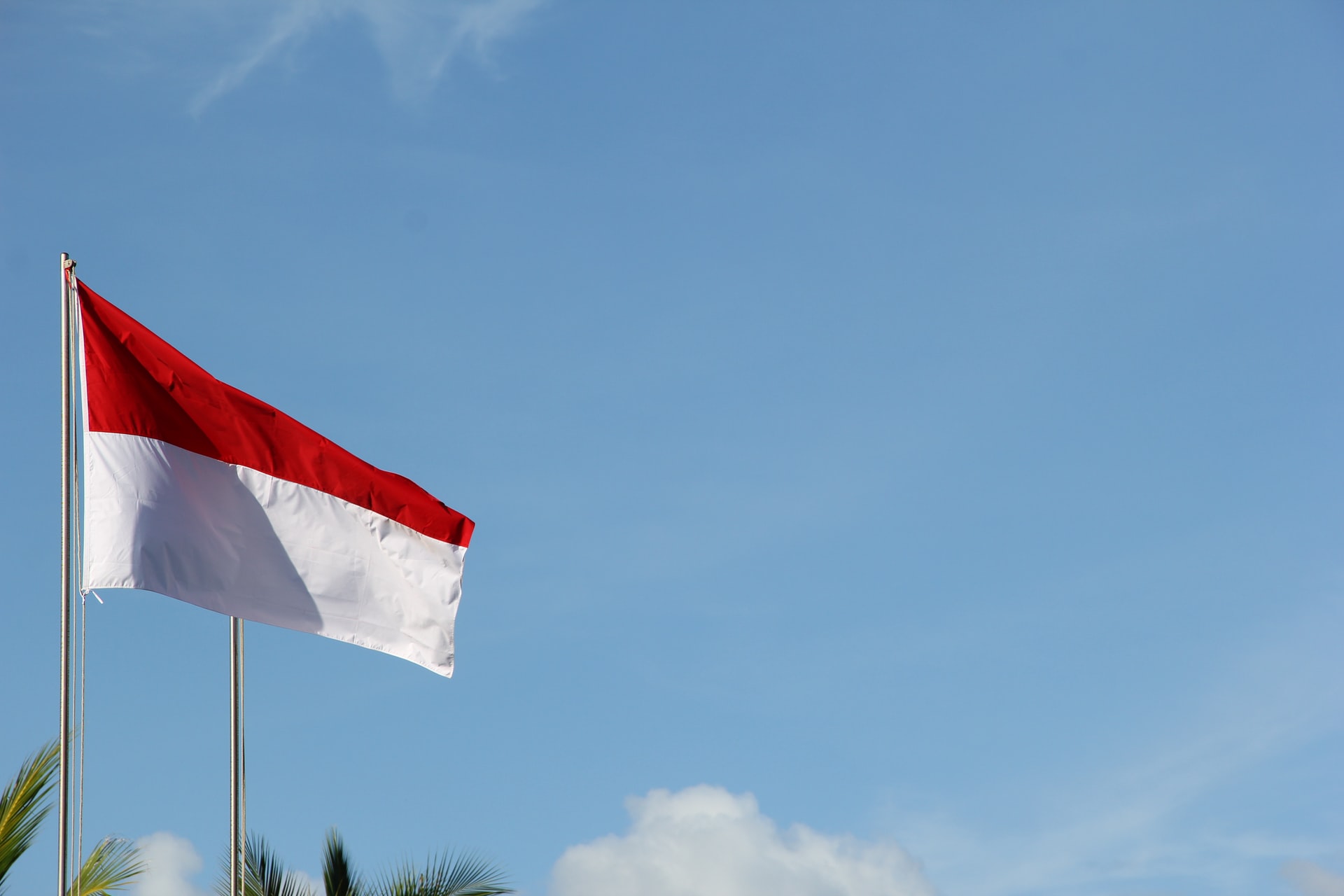 Indonesia Against Crypto: Islamic Organization Declares “Haram”