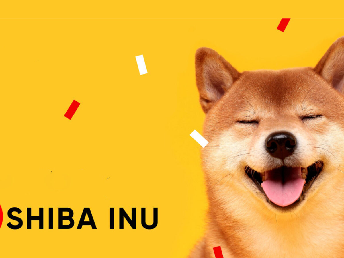Picture of a Shiba Inu dog