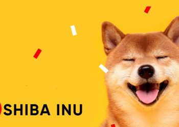 Picture of a Shiba Inu dog