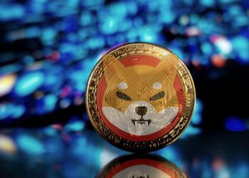 Picture of a Shiba Inu (SHI) token