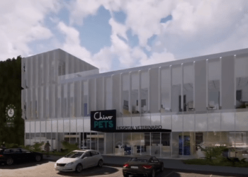 Chivo Pets hospital, 3D model