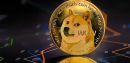 bitcoin Picture of a Dogecoin