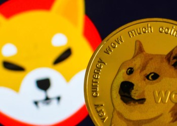 Picture of Dogecoin and Shiba Inu