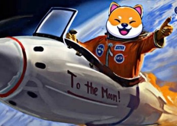 NasaDoge, a Crypto Ecosystem That Combines Finance, Nature and Sports