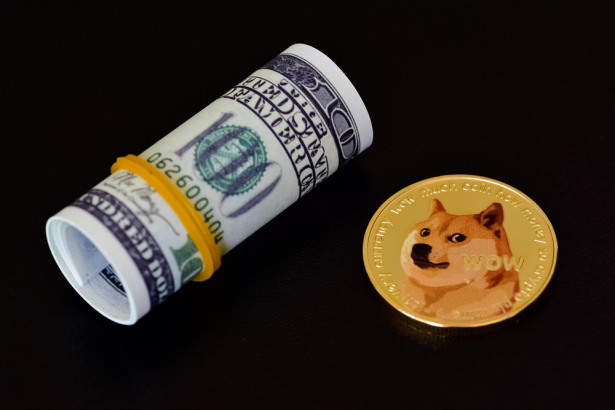 Picture of a Shiba Inu coin next to a rolled up wad of dollars