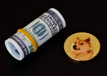 Picture of a Shiba Inu coin next to a rolled up wad of dollars