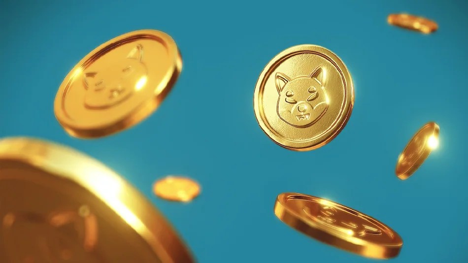 Picture of Shiba Inu coins floating in te air