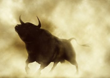 Picture of a bull in a cloud of smoke