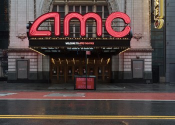 Will AMC Theaters Accept Shiba Inu For Movie Tickets?