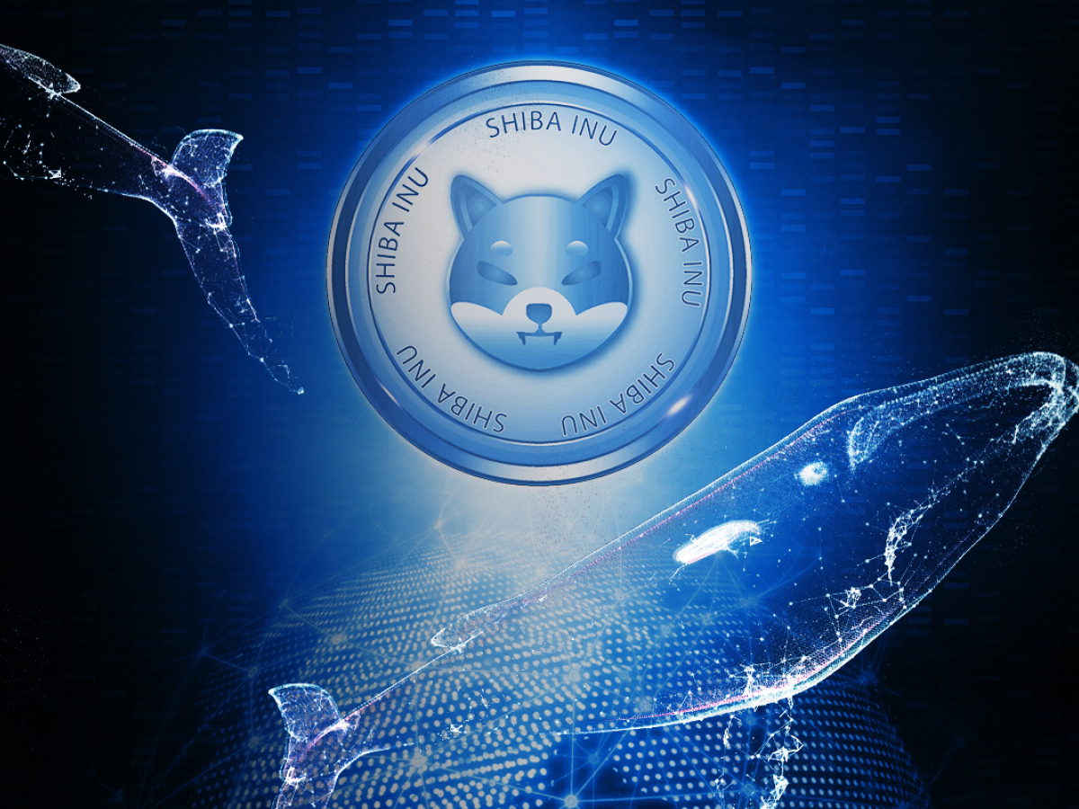 Picture of a Shiba Inu coin with whales swimming around it