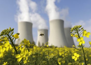 BitMEX carbon neutral