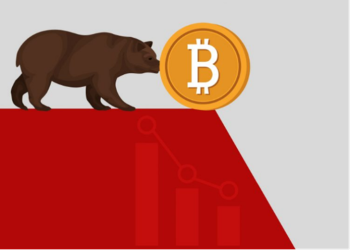 Bitcoin will Fall to 31K in December! How to Make Profits during the Plunge?