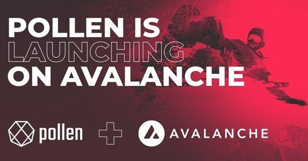 Crypto Index Protocol Pollen Sets Sights On Avalanche Ecosystem