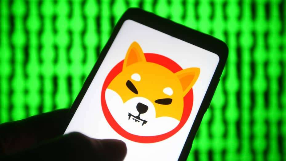 Picture of a hand holding a phone with a Shiba Inu logo on it
