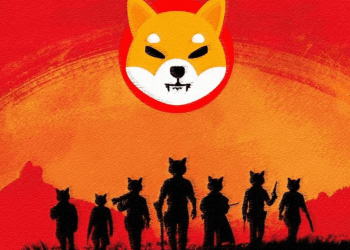 Picture of Shiba Inu