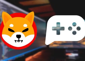 Picture of Shiba Inu next to a game controller