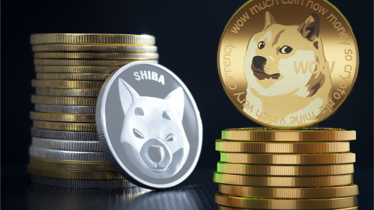 Picture of Shiba Inu coins