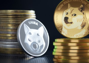 Picture of Shiba Inu coins