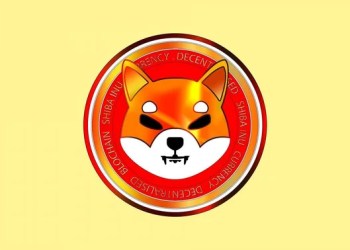 Picture of Shiba Inu