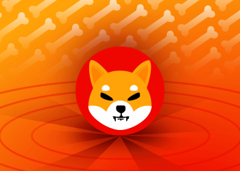 Picture of Shiba Inu