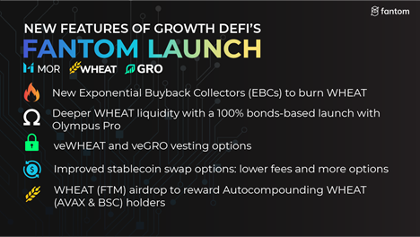 Multi-chain Ecosystem Growth DeFi, Allowing Users to Earn While They Borrow, Will Launch on Fantom