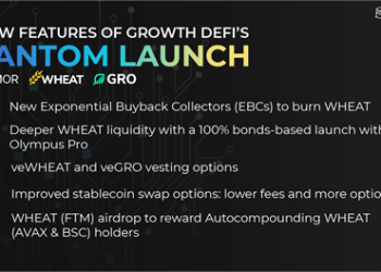 Multi-chain Ecosystem Growth DeFi, Allowing Users to Earn While They Borrow, Will Launch on Fantom
