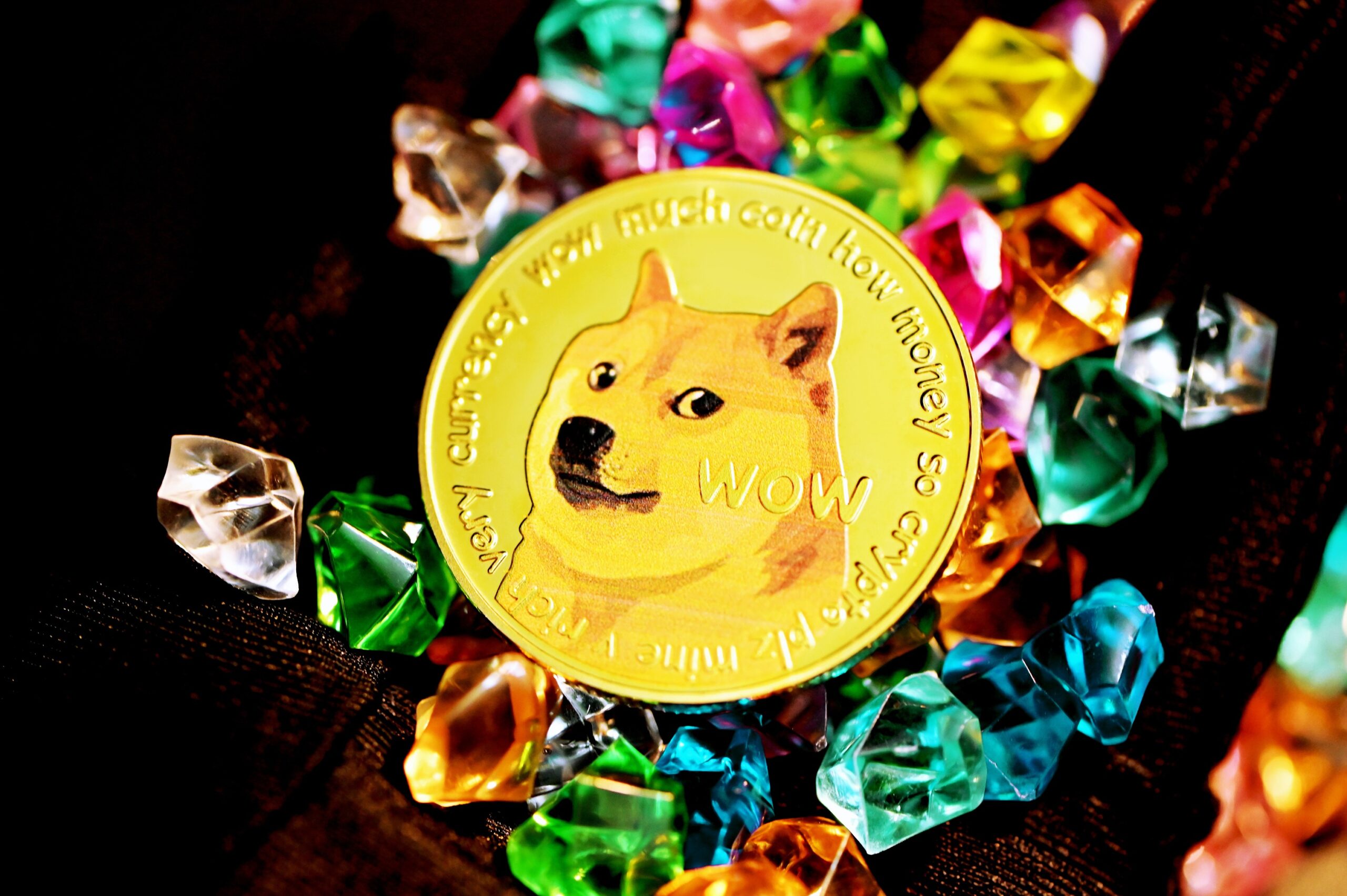AMC CEO Says DOGE And SHIB Payments To Be Added “Most Likely In March”