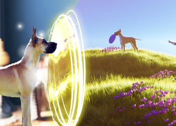 ClassicDoge: Bring Your Real Pet into the Metaverse