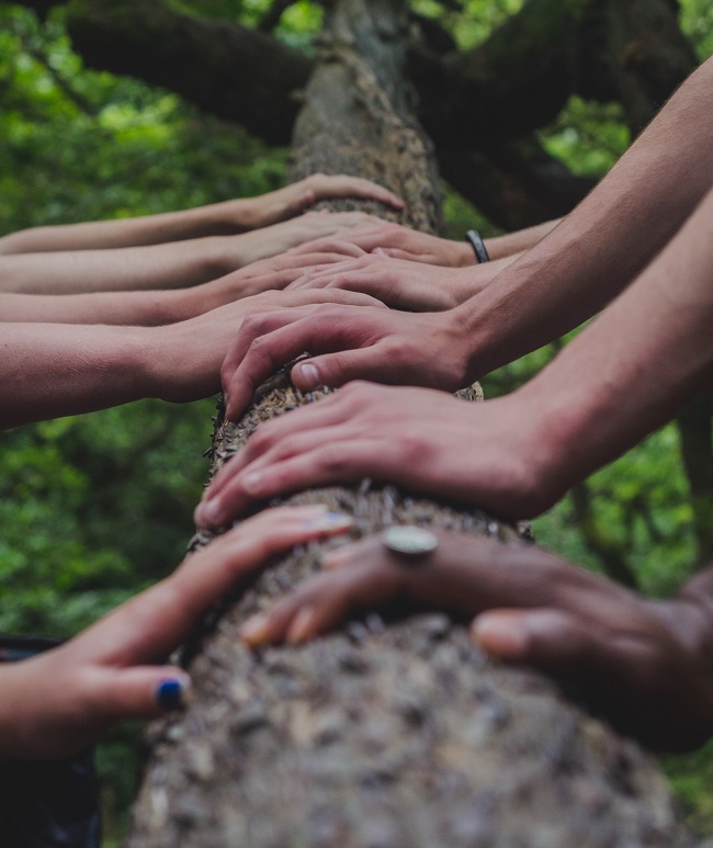 Bitcoin For Communities, several hands over a tree trunk