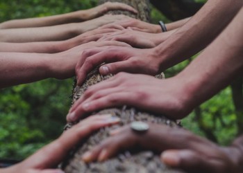 Bitcoin For Communities, several hands over a tree trunk