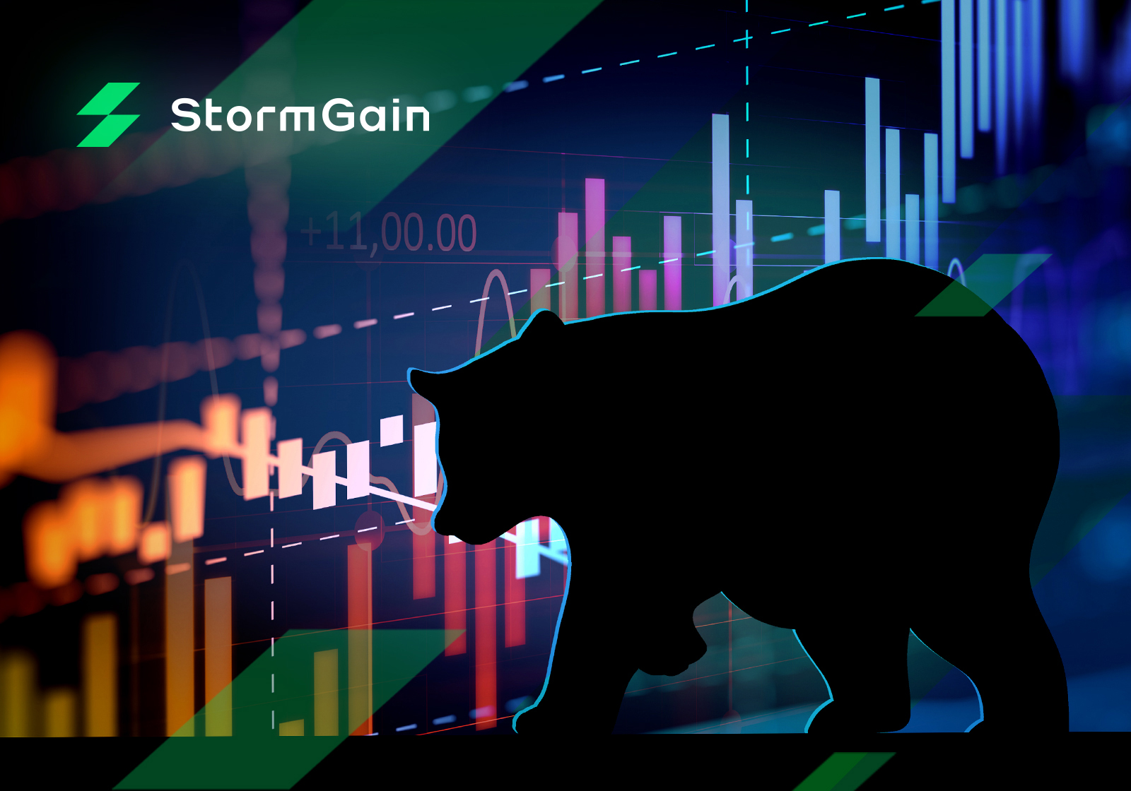 Crypto Bear Market Guide: How To Beat the Beast