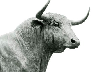 Bitcoin BTC BTCUSD Ethereum ETH ETHUSD