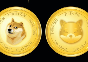 Dogecoin and Shiba Inu