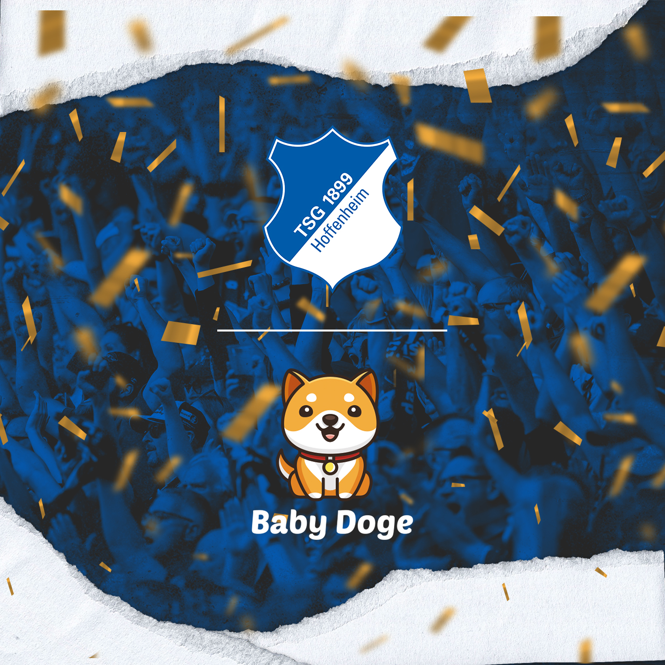 Baby Doge Hoffenheim NFT