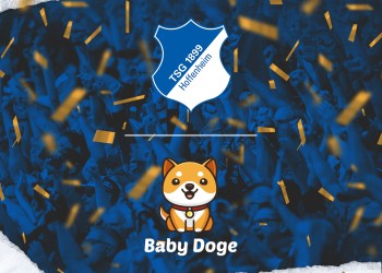 Baby Doge Hoffenheim NFT
