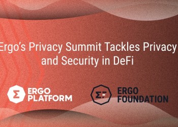 Privacy and Security: Ergo Holds Summit on New Trends