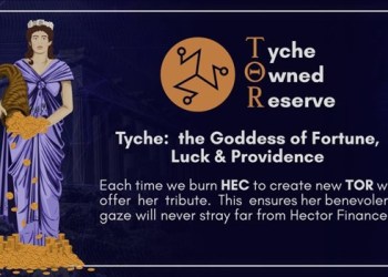 Hector Finance Launches its Stablecoin $TOR