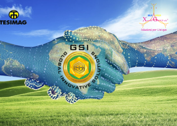 “Green Partnerships”: the pillars of Global Innovative Solutions