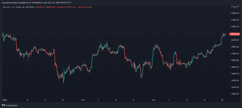 Bitcoin BTC BTCUSD