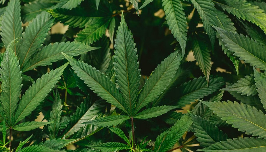 Crypto FTX Bitcoin BTC BTCUSD