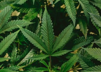 Crypto FTX Bitcoin BTC BTCUSD