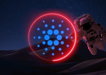 Top 5 Reasons To Become A Cardano Fan