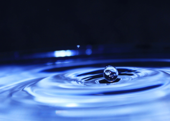 Liquidity Providers:  The Good, the Bad, and Its Wonderfully Bizarre Future